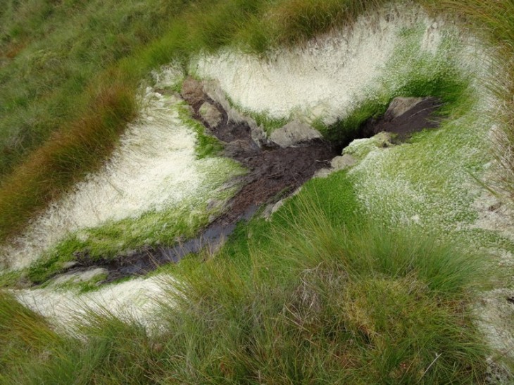 A sinkhole in the Traligill valley (looking straight down on it probably ~0.5 x 1.5m)