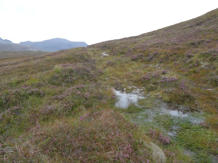 A Scottish track, aka bog!