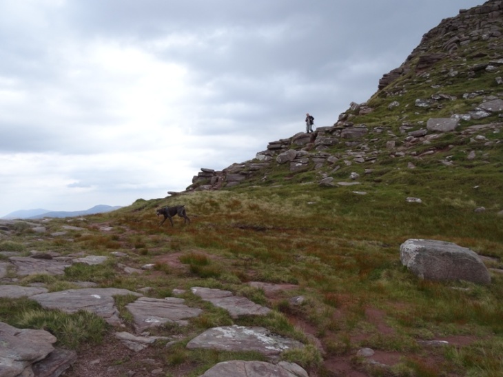 Man and his dog coming off the middle lump up to Spidean Conich.