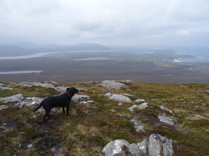 River, not too excited about the wind. Durness in the background.
