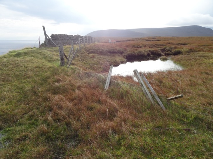 Right next to the cliffs is firm ground. A couple of metres away is . . . bog!