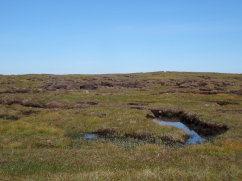 Beautiful bogs and peat hags