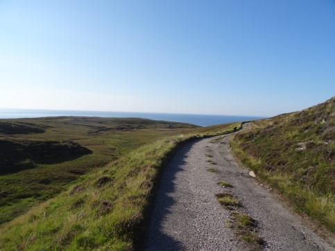 The road to the lighthouse (spot the dog)