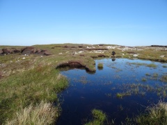 Beautiful example of peat bogs. Guess where Merlin's about to end up.