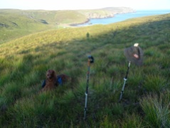 Very poorly exposed, but a good shot of dog, poles, hat and breakfast!