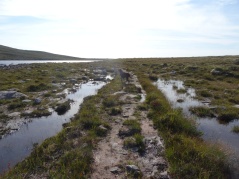 Ahhhh, finally! A path!! (next to Loch Mòr a' Chraisg.
