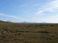Arkle, Ben Stack and Quinag (L-R) viewed across typical NW Sutherland bog.